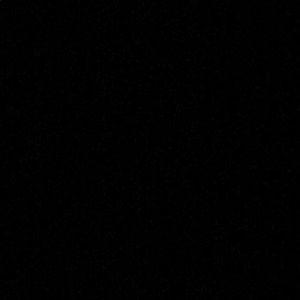 Meet your Posher, Bianca